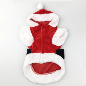 Santa Costume for Dogs