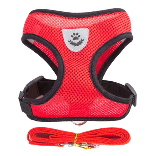 Adjustable Vest With Walking Lead Leash