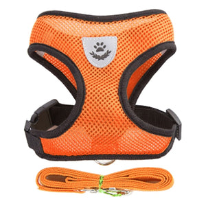 Adjustable Vest With Walking Lead Leash