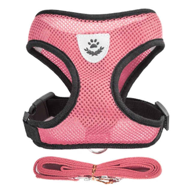 Adjustable Vest With Walking Lead Leash