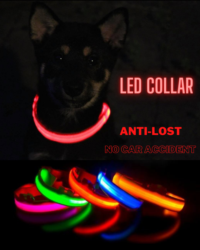 USB Charging Led Collar