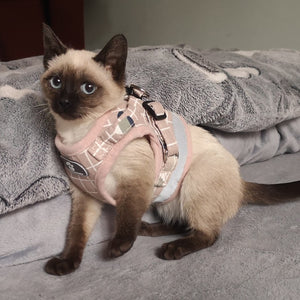 Cat Harness