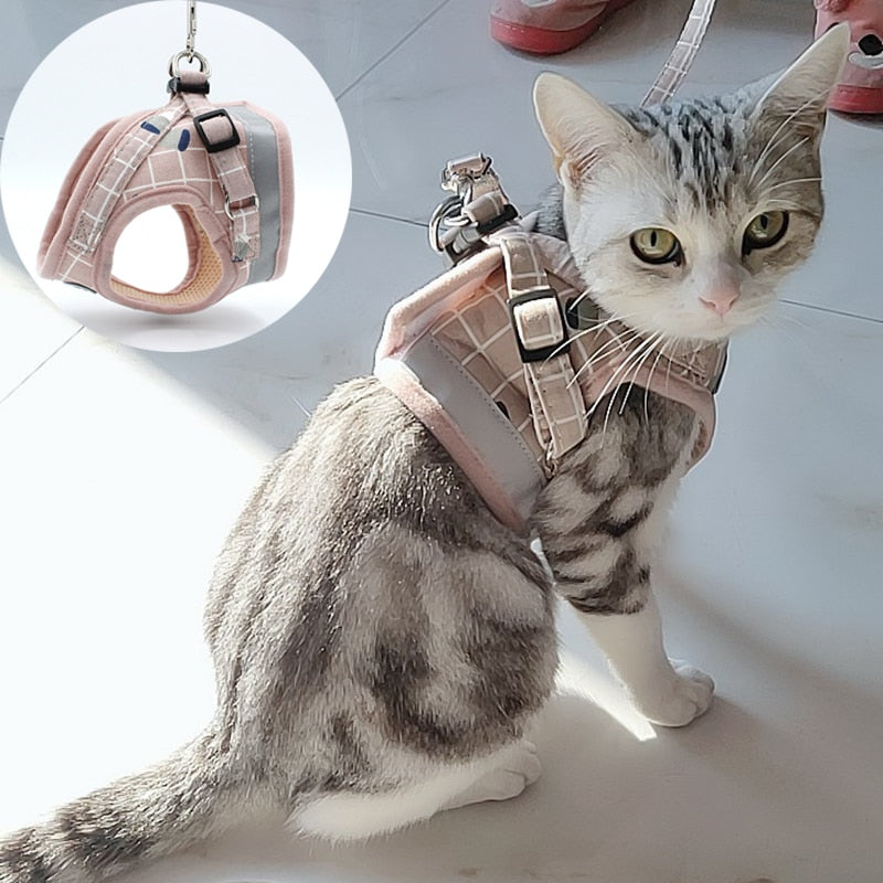 Cat Harness