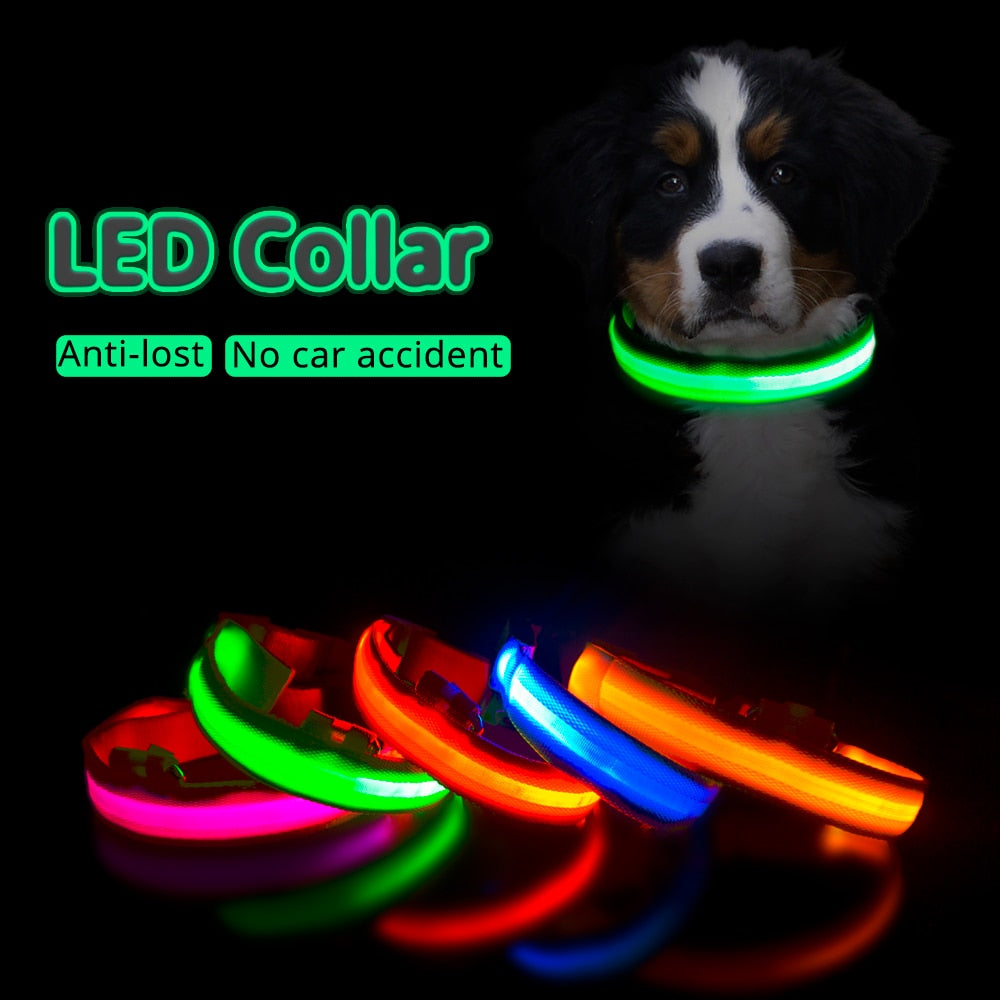 USB Charging Led Collar