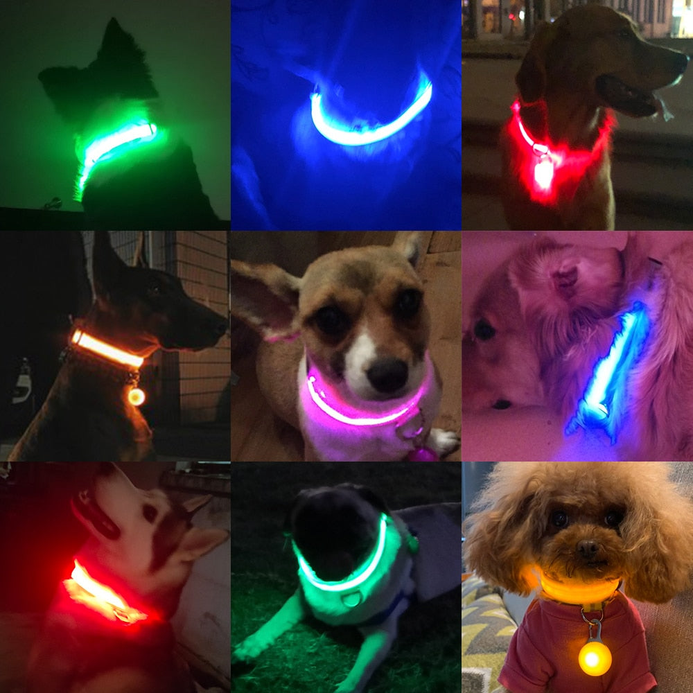 USB Charging Led Collar