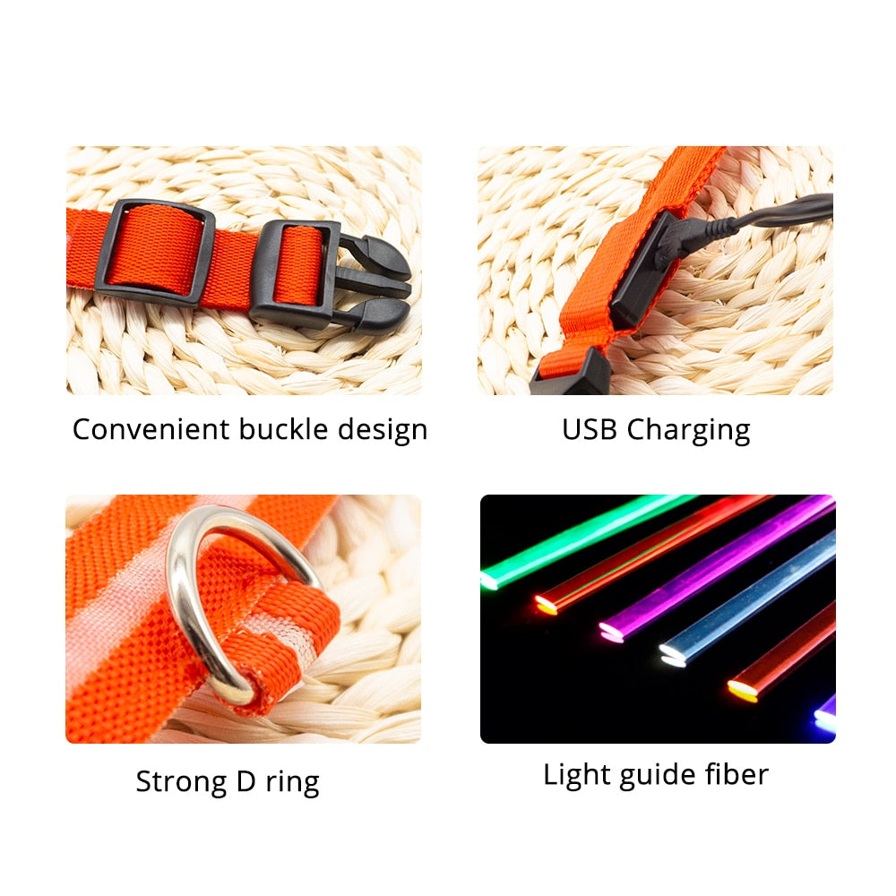 USB Charging Led Collar