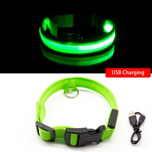 USB Charging Led Collar