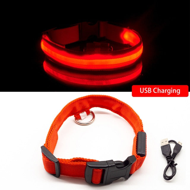 USB Charging Led Collar