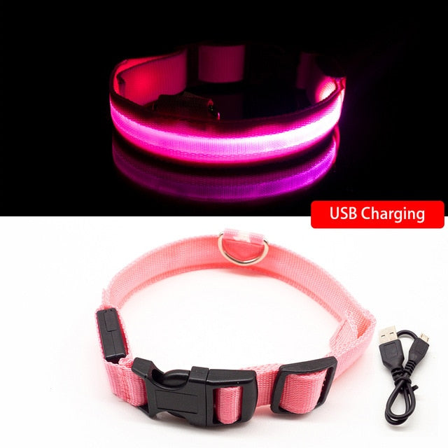 USB Charging Led Collar