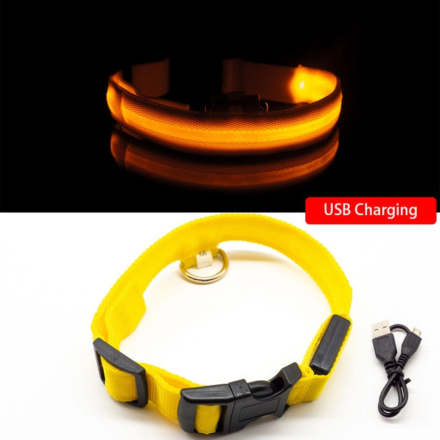 USB Charging Led Collar