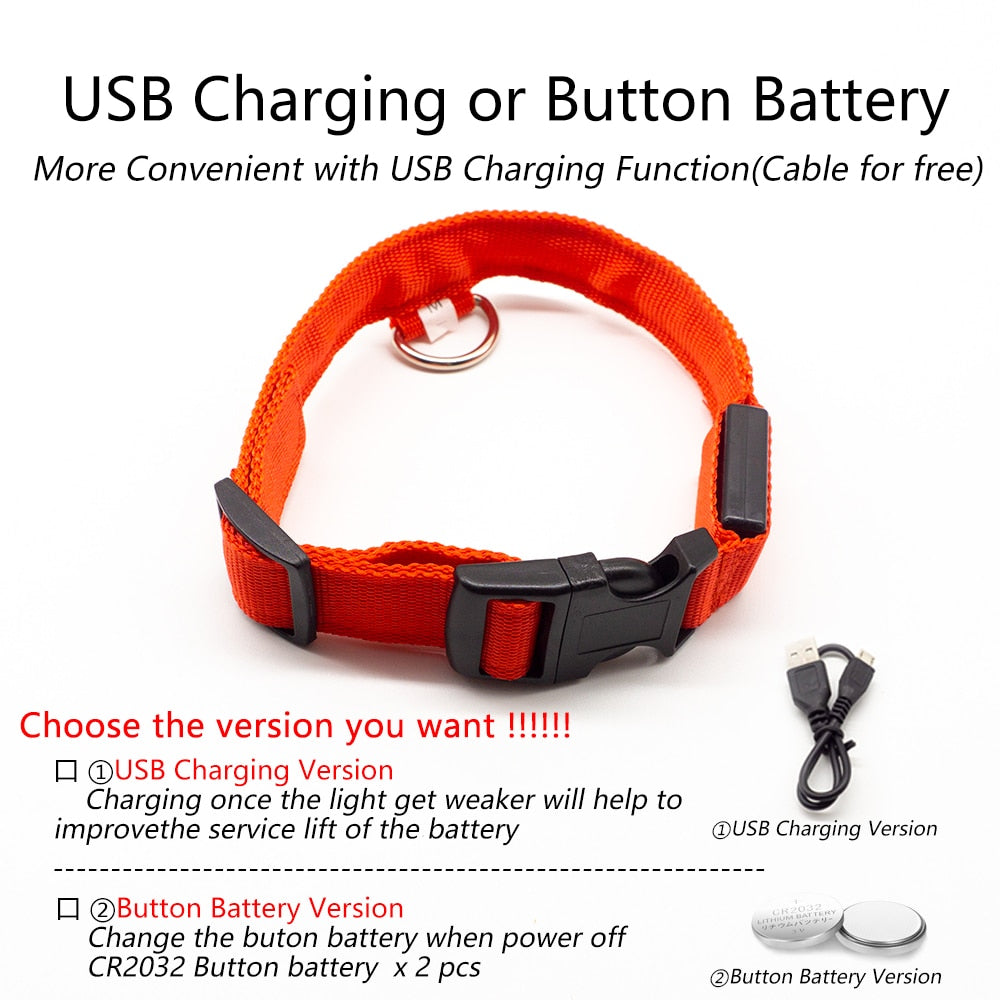 USB Charging Led Collar