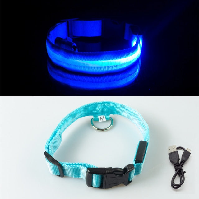 USB Charging Led Collar