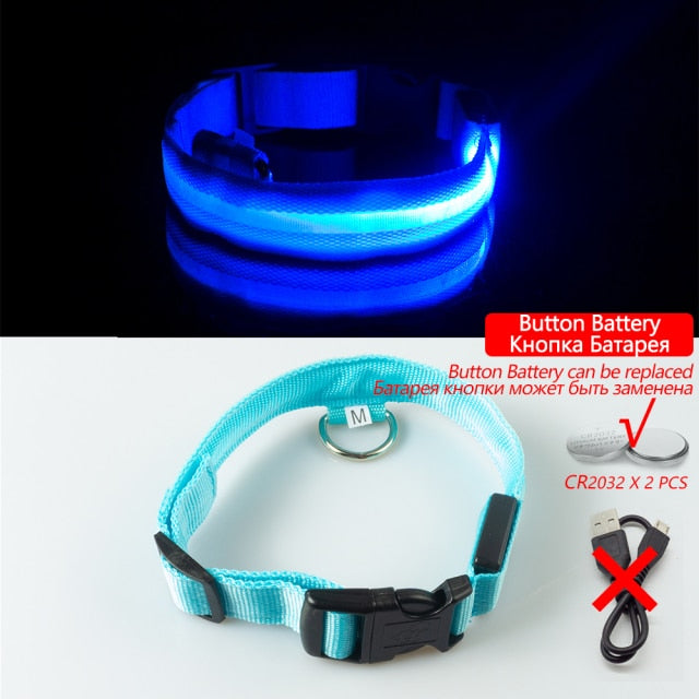 USB Charging Led Collar