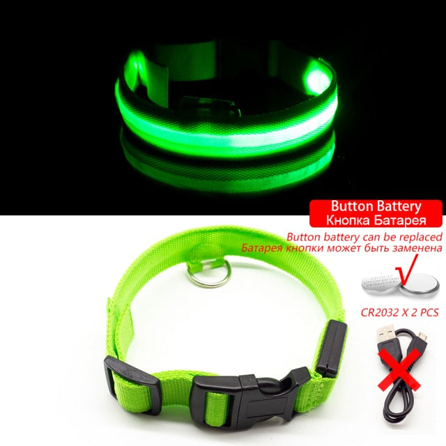 USB Charging Led Collar