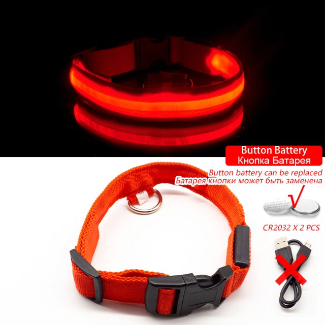 USB Charging Led Collar