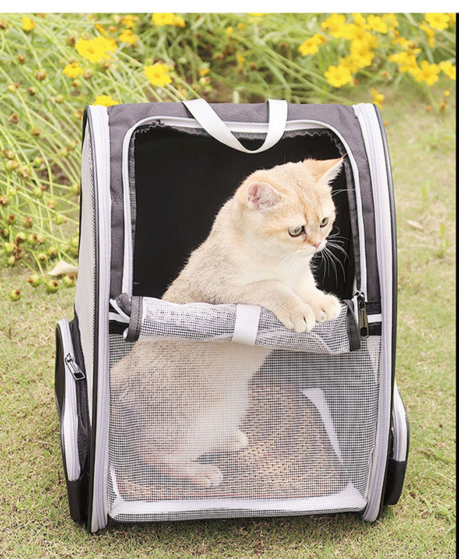 Breathable Pet Carrier Backpack – TheLucrecia's